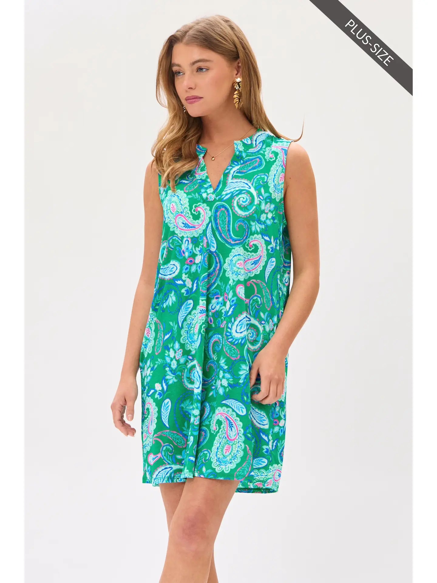 Paisley Lizzy Sleeveless Dress
