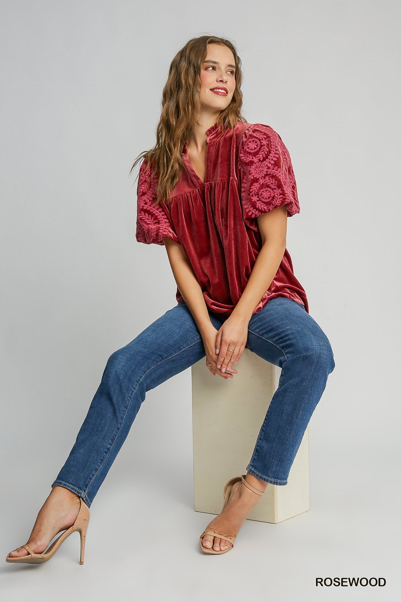 Velvet Wishes Embroidered Sleeve Top