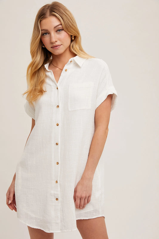 Lined Button-Up Shirt Dress
